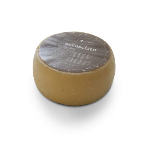 collassato/l'accasciato