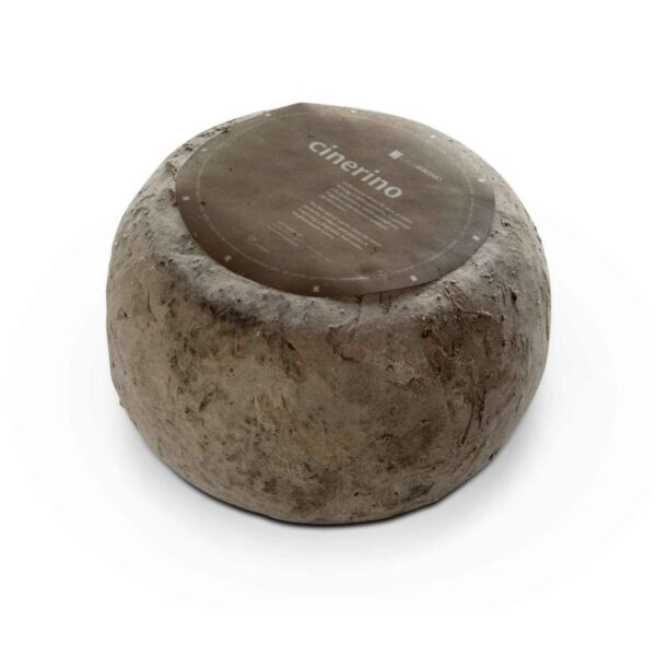 Cinerino/il cinerino