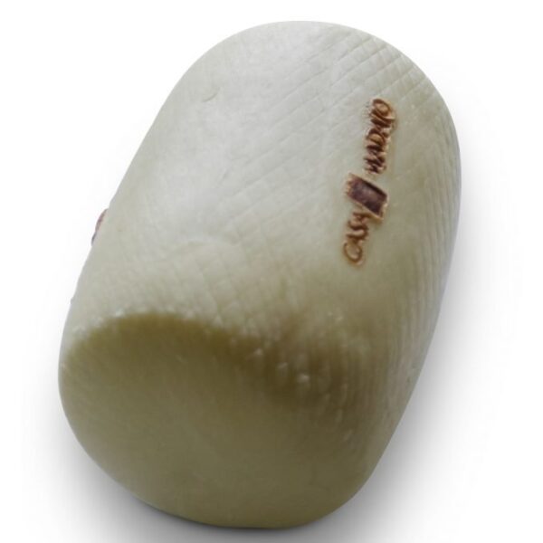 il formaggio di bufala/il caciobufala